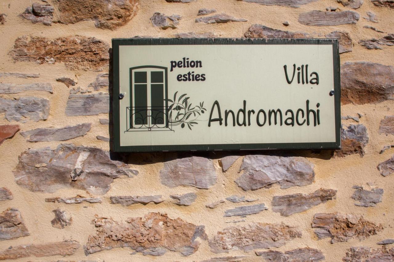 Villa Andromachi By Pelion Esties Ano Gatzea Eksteriør bilde